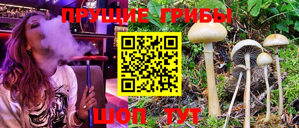 Галлюциногенные грибы Psilocybe  Вход с VPN  Галлюциногенные грибы MAGIC MUSHROOMS  Гай 