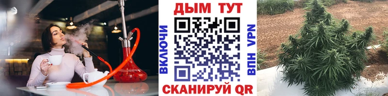 Бошки Шишки конопля  ОМГ ОМГ   Гай 